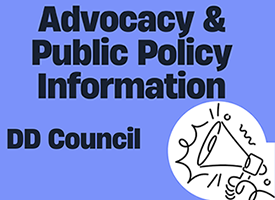 Blue flyer with black writing in large letters that says "Advocacy and Public Policy Information, DD Council FY2024" There is an image of a megaphone on a red background. 